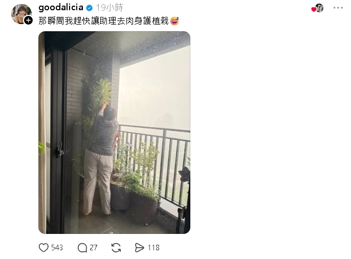 叫助理颱風天「肉身護植栽」畫面曝光！愛莉莎莎遭網嗆竟回：助理不會被吹出去