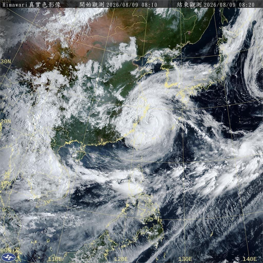 白海豚