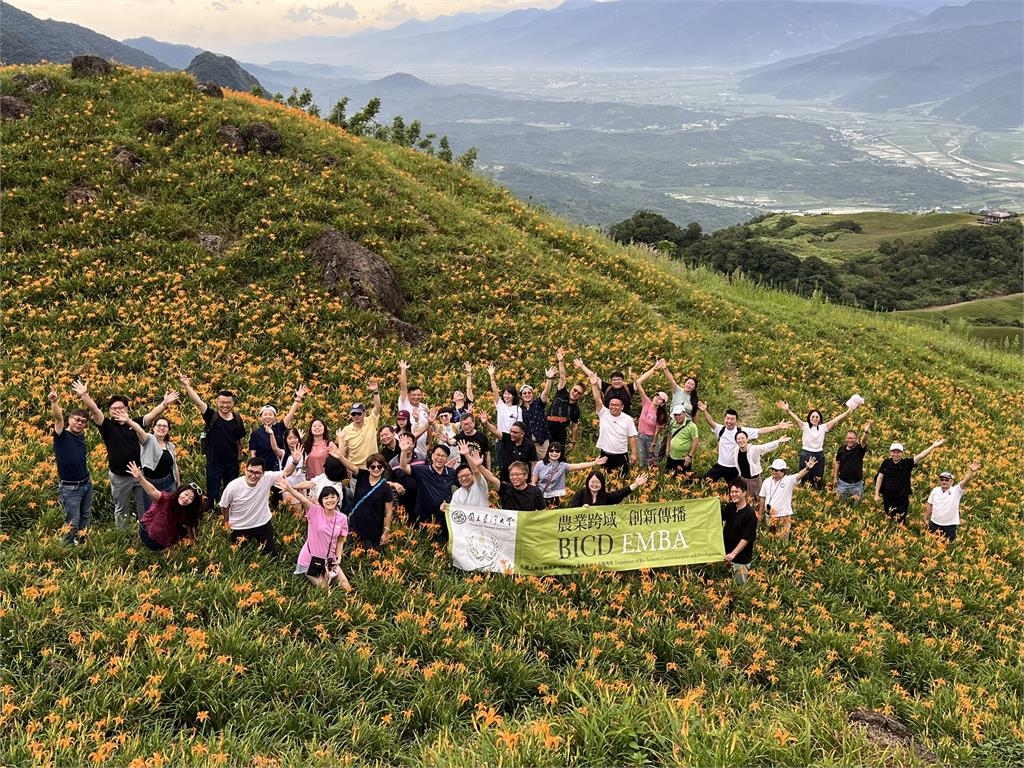 花蓮金針花季登場! 六十石山金黃花海綻放
