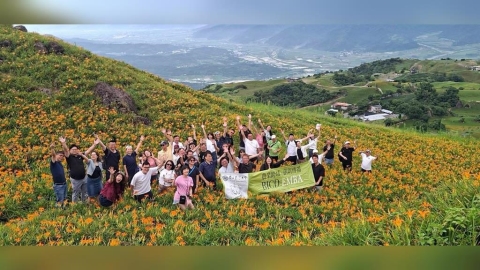 花蓮金針花季登場! 六十石山金黃花海綻放