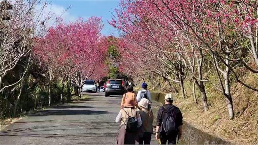 鬼月情侶約會千萬別做「這8件事」!命理專家示警了:見鬼機率大幅增加