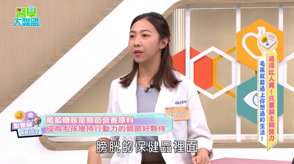 哈士奇禿毛恐致病?《醫學大聯盟》警:過量維他命 C 小心毛孩結石風險