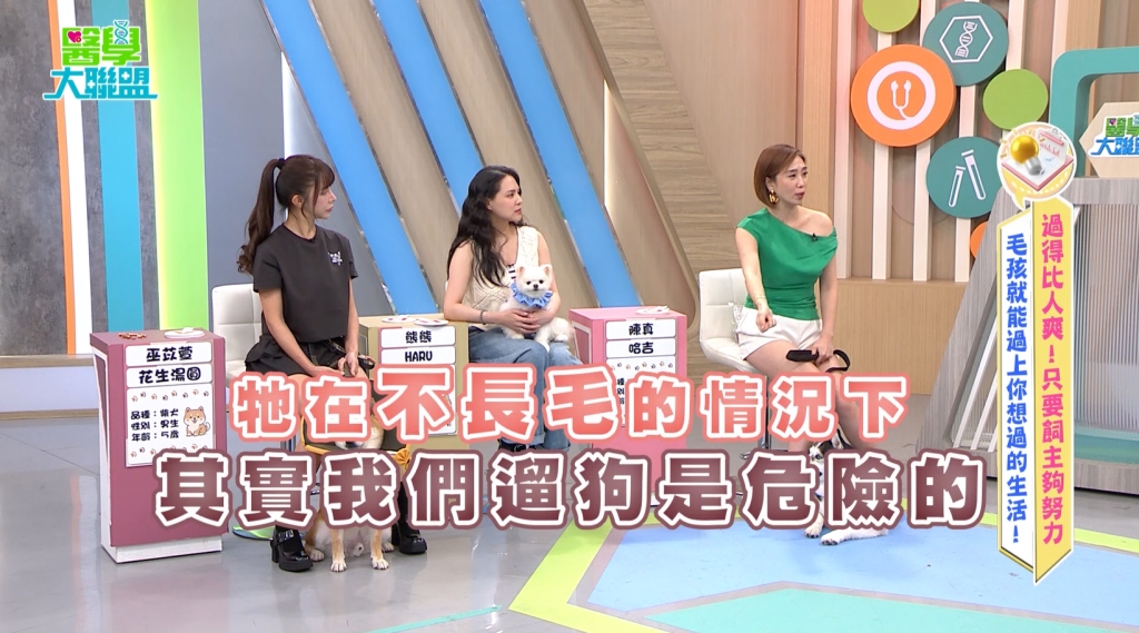 哈士奇禿毛恐致病?《醫學大聯盟》警:過量維他命 C 小心毛孩結石風險
