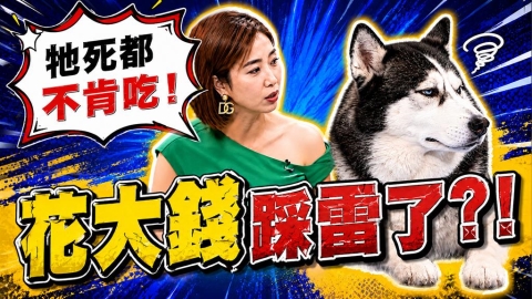 哈士奇禿毛恐致病?《醫學大聯盟》警:過量維他命 C 小心毛孩結石風險