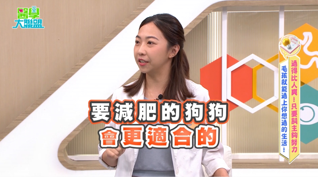 《醫學大聯盟》揭狗狗過敏原!醫揭致命飲食:「這兩物」恐喪命!