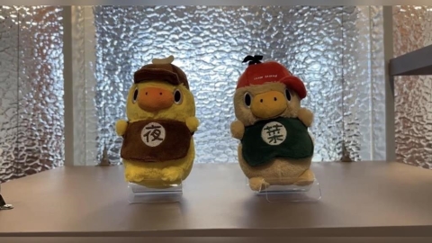 台南吉祥物菜奇鴨、夜奇鴨 標榜原創卻被發現「這件事」