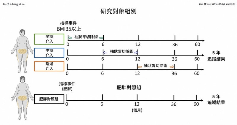 體重失控罹患乳癌風險大增?醫分享研究觀察降低發生率