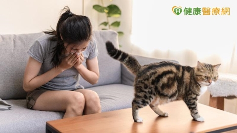 有氣喘不能養貓狗?醫:降過敏原暴露、穩定控制才是關鍵