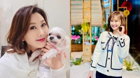 藍白砍國防預算…8點檔女神震撼表態了!神舉「飛彈來了」說破現實 網暴動:愛台藝人