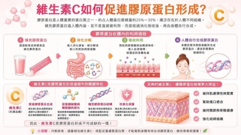 膠原蛋白怎麼吃?別只看攝取量:維生素C也是補充重點