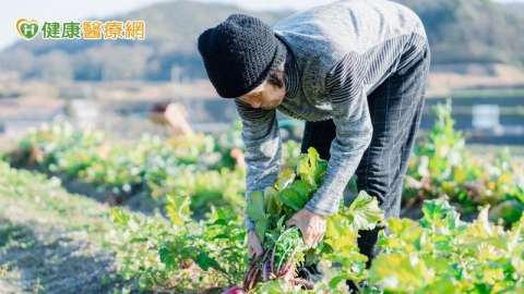 7旬嬤腰痠背痛暗藏骨質疏鬆危機!醫揭「這1檢查」重要性與日常防範