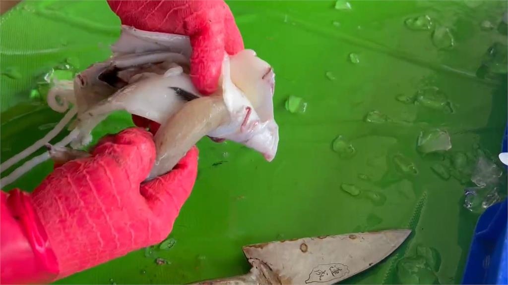 透抽肚裡塞進數條小魚 業者:小魚鑽進透抽肚裡