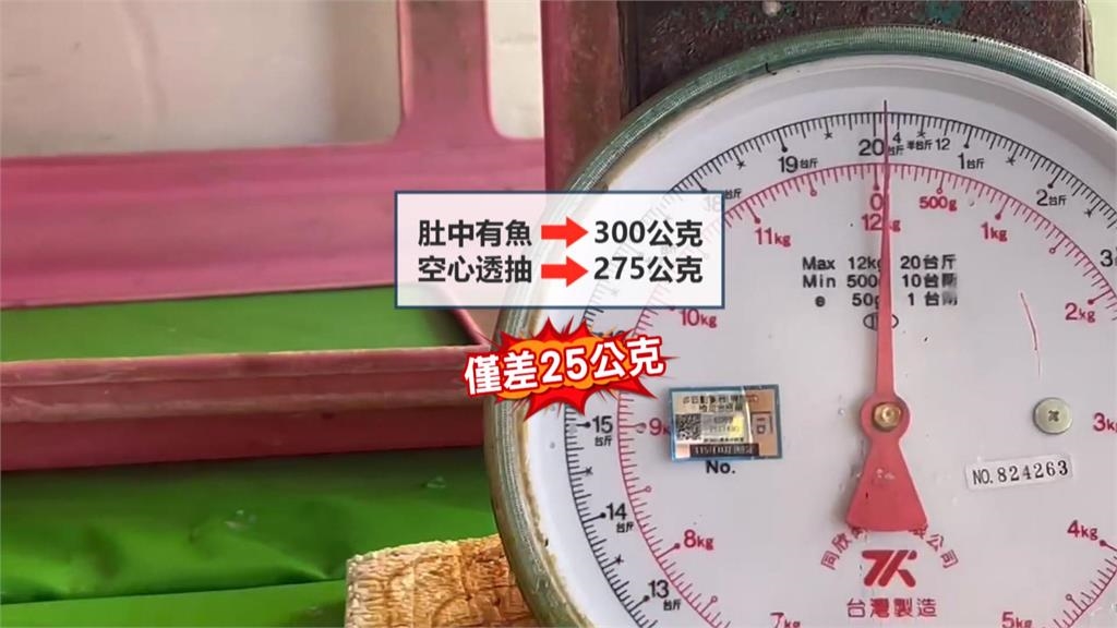透抽肚裡塞進數條小魚 業者:小魚鑽進透抽肚裡