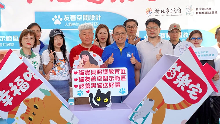 新北打造全國首座「幸福喵樂宅」 教育與示範正確飼養