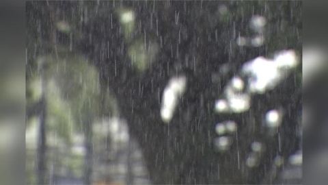 兩縣市大雨特報！低壓帶影響天氣不穩　中南部午後防雷陣雨