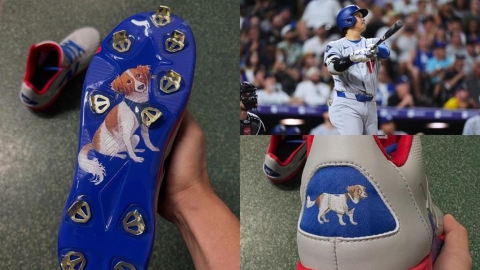 MLB／大谷翔平實戰靴1300萬拍出！鞋底驚見愛犬Decoy　超萌細節成天價收藏