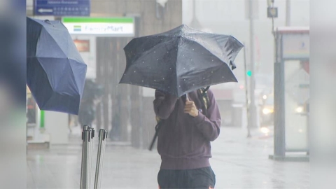 確定停班停課!南部「兩地區」宣布放豪雨假 縣市政府公告了