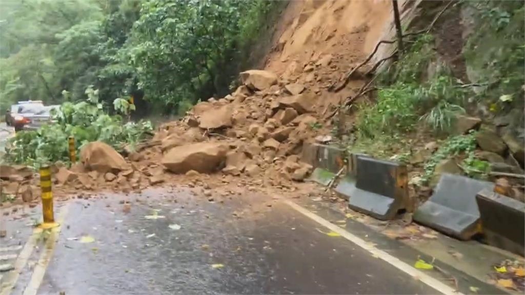 豪雨襲高雄!災情頻傳 輕軌列車慘遭路樹壓到