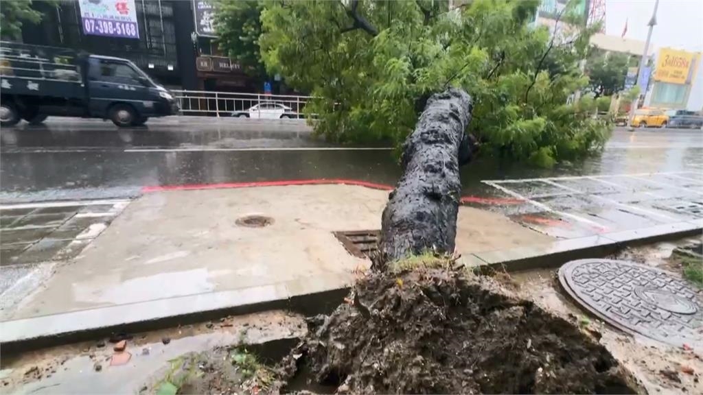 豪大雨狂炸高雄!市區多處路樹倒塌 輕軌列車遭砸中一度停駛