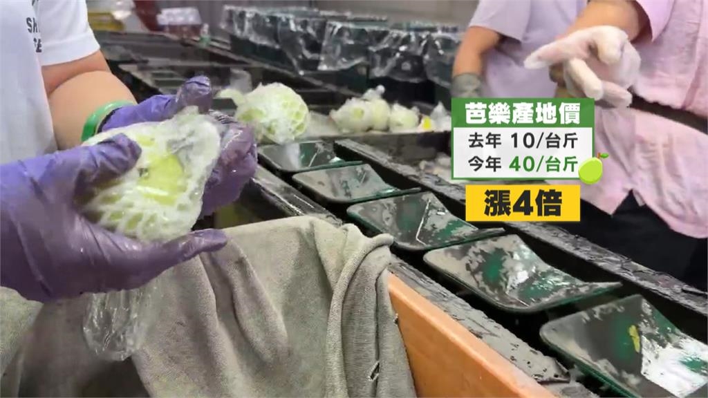 連日大雨重創芭樂園 彰化社頭芭樂量減價漲