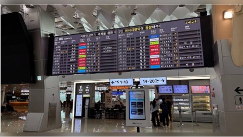 航班因颱風取消怎麼辦?旅遊部落客示警:急著主動退票恐虧慘