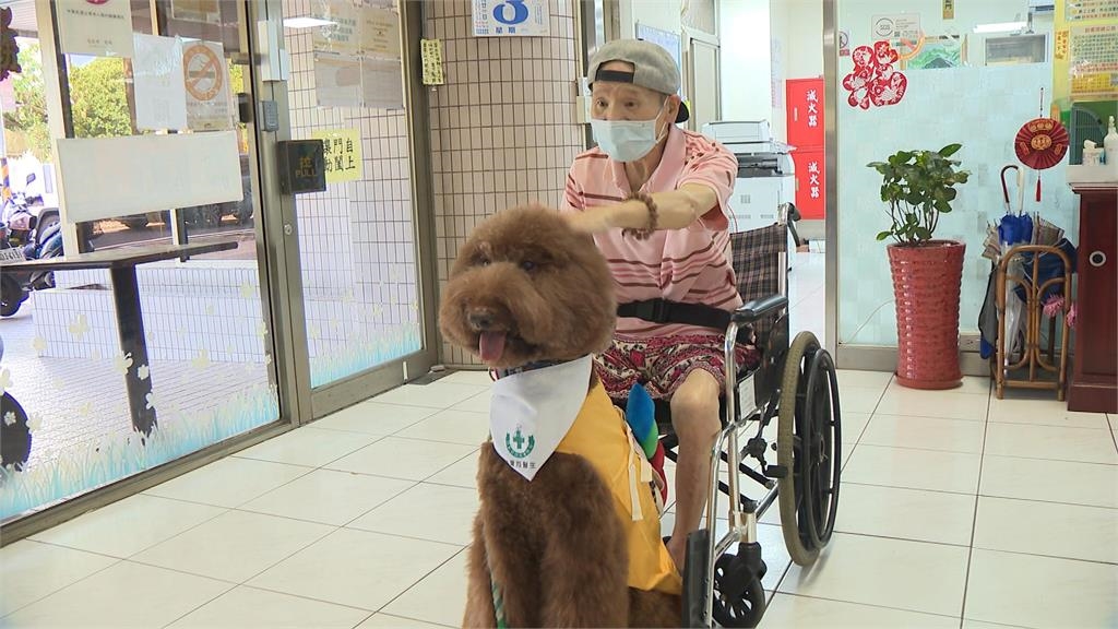 異言堂/毛小孩的處方箋!動物輔助治療成效佳