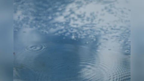 豪雨灌爆半個台灣 涉水後冒「7大症狀」恐要命傳染病!