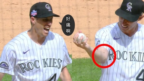 MLB(影)／太「蜂」狂！落磯投手被蜜蜂螫幸無大礙　主帥苦笑「主場9連敗」比較痛