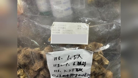 海膽、蘑菇、旭蟹全中招 食藥署邊境攔截重金屬鎘超標