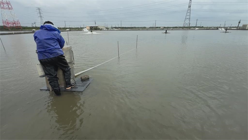 大雨狂炸3天!高雄永安累積雨量破740毫米 30萬條養殖虱目魚流失 損失近千萬