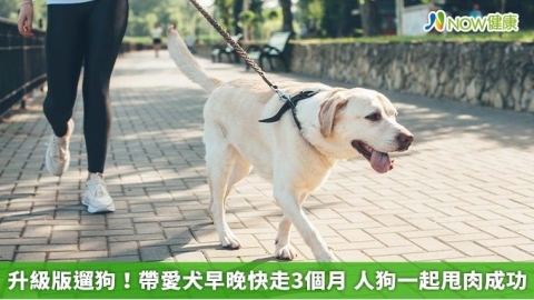 升級版遛狗!帶愛犬早晚快走3個月 人狗一起甩肉成功