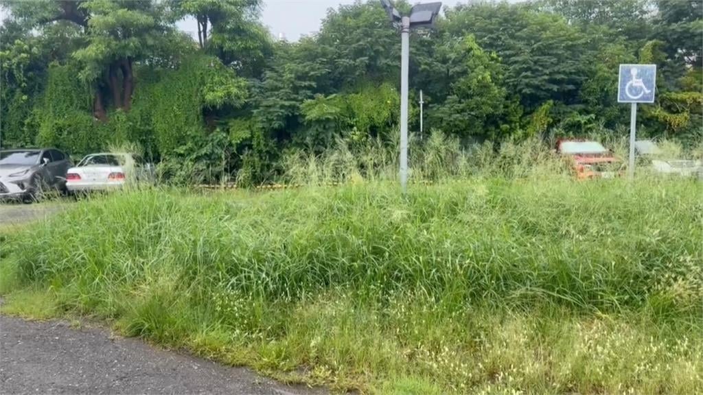 公務員扯"鬼月禁忌不除草"　彰化市長氣炸親自監督除草