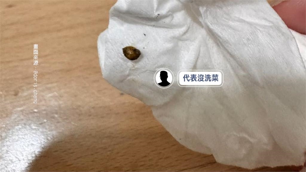 連鎖速食"炸蝦堡"驚見活蝸牛蠕動! 店家回應「全看傻」官方發聲了