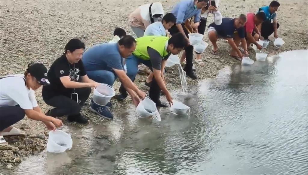 澎湖馬公舉辦放流活動 推動海洋保育永續觀念