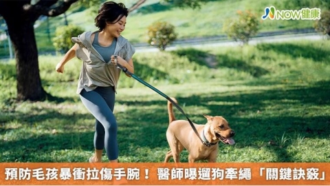 預防毛孩暴衝拉傷手腕! 醫師曝遛狗牽繩「關鍵訣竅」