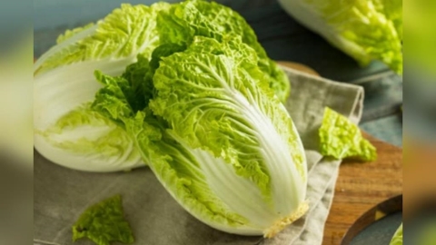 中國「甲醛白菜」恐流入台灣!業者主動送驗自清