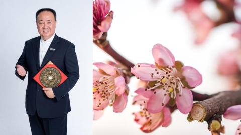下半年桃花、運勢出爐!謝沅瑾揭密生肖運勢前三名!「財星桃花」兩得意