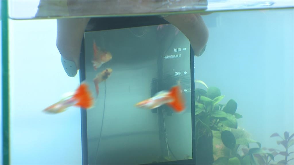 手機品牌推大電量旗艦機. 邀動力火車站台 主打可下水拍攝兼防摔