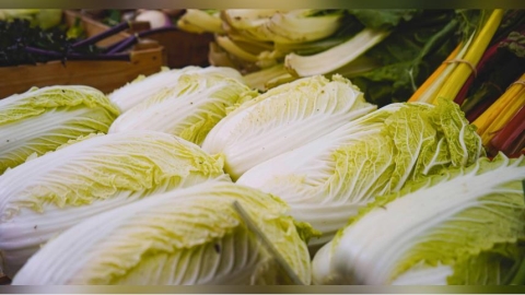 憂「甲醛白菜」洗產地後流入台灣！　全聯、萬家福、好市多回應了