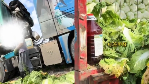中國「甲醛白菜」引恐慌!他見娃娃菜2個月沒壞疑「洗產地」 食藥署出手了