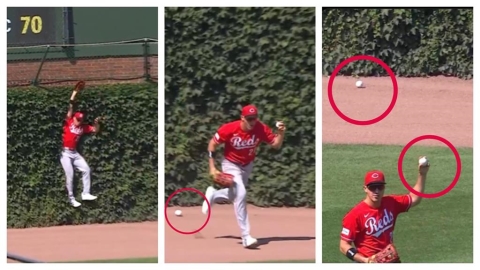 MLB(影)/見鬼了!小熊球場常春藤全壘打牆「驚見2顆球竄出」笑翻網友