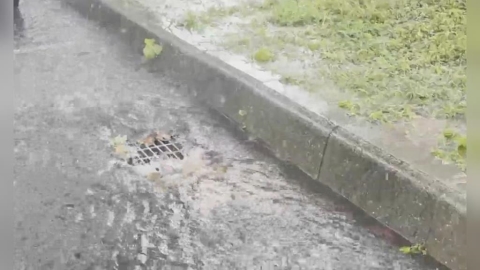 快躲雨!15縣市大雨特報 4地區慎防大雷雨