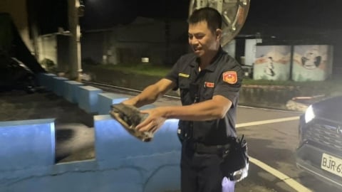 暴雨魚池淹水!烏龜大軍逃家闖馬路 警民合作找回30隻
