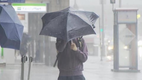 低氣壓、西南風加劇!未來一週全台天氣不穩定「這幾區」嚴防豪大雨