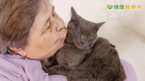 主人過世後貓咪誰照顧?「還有家人」不一定沒問題 這件事最好提前安排