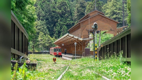 國旅大禮包是真的!上網就能買到 政府霸氣推「雙省方案」通路全曝光