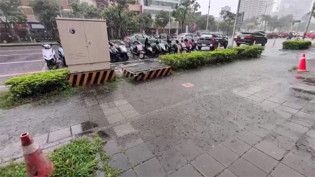 高雄8月降雨破紀錄 前鎮區路樹倒塌砸毀2車