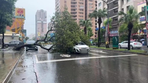 高雄8月降雨破紀錄 前鎮區路樹倒塌砸毀2車