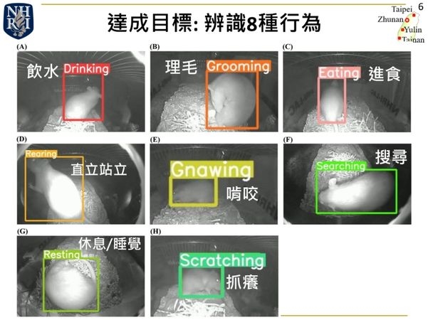 科技助力醫藥研發更人道!國衛院攜清大開發AI電眼 提升動物實驗精緻化