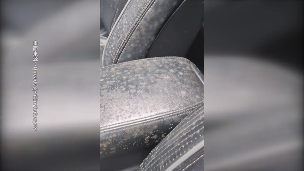 台南暴雨另類光景！車停戶外「後車廂冒整排嫩芽」　車主：荒謬到可愛